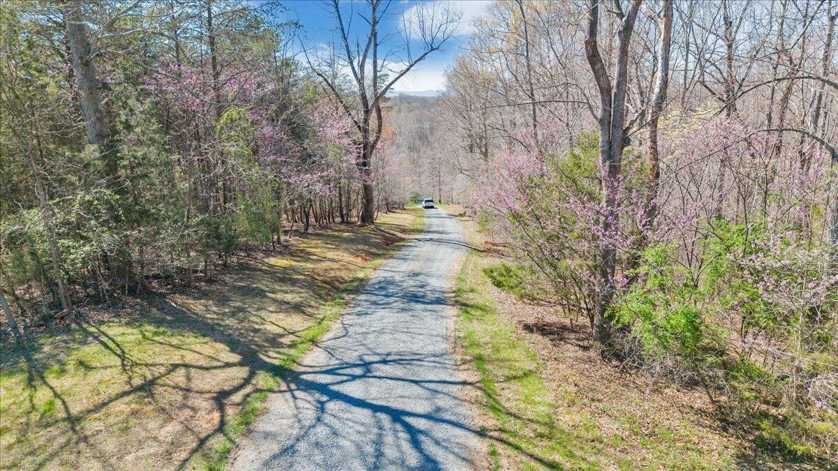 239 Blackwater Landing DR - Photo 108
