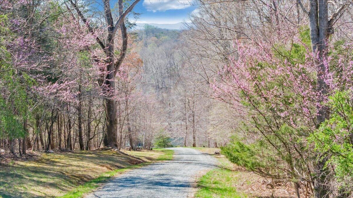 239 Blackwater Landing DR - Photo 109
