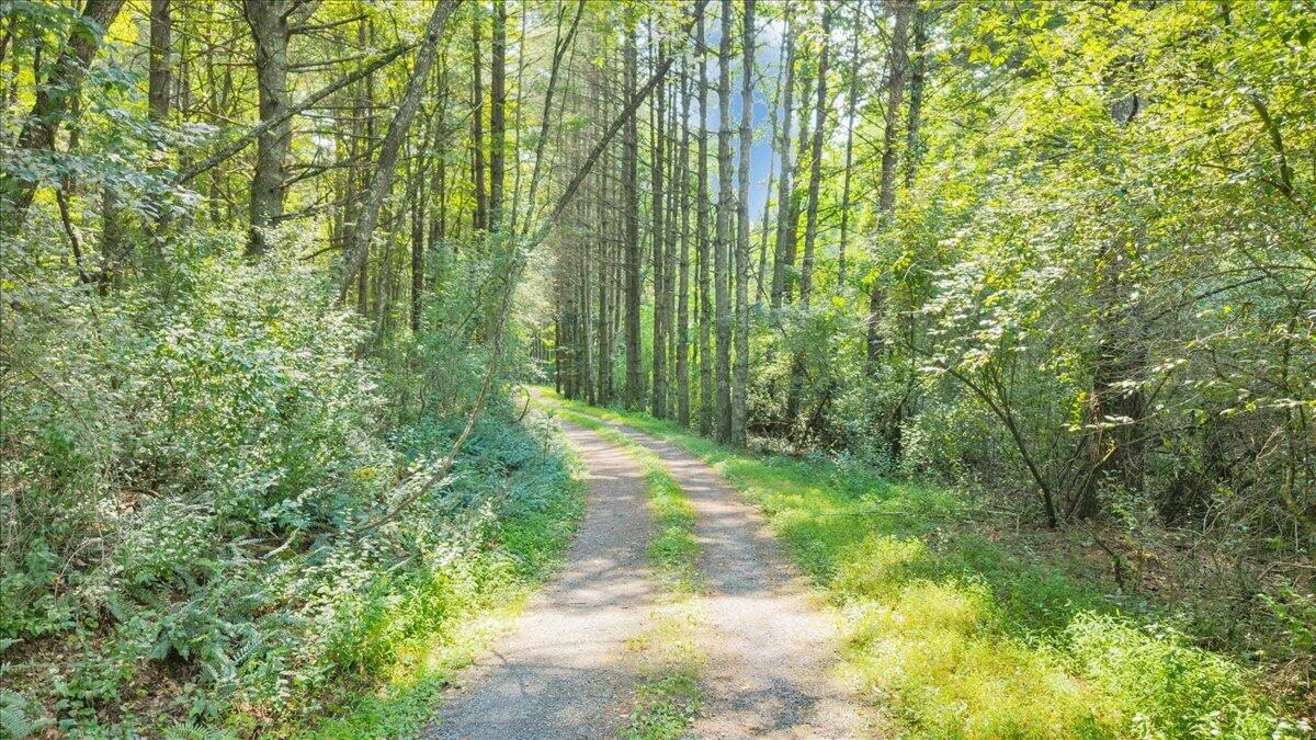 000 N Paint Bank RD - Photo 17
