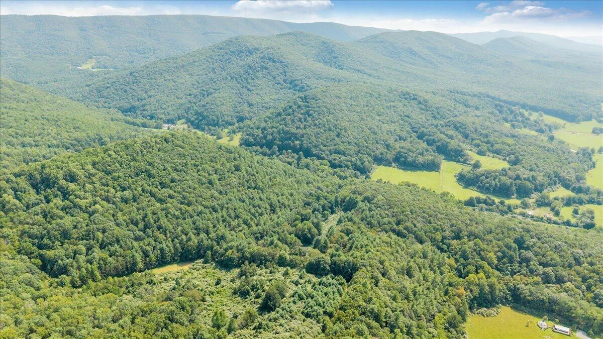 000 N Paint Bank RD - Photo 18