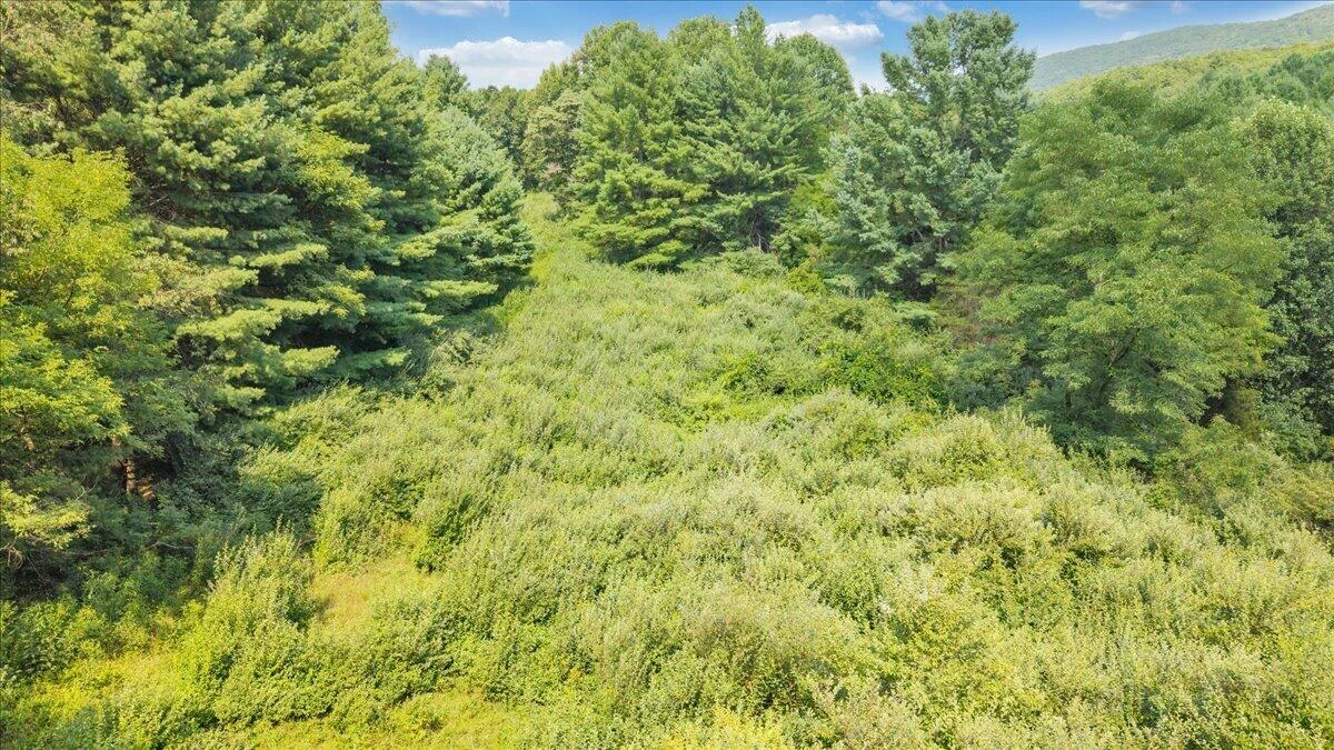 000 N Paint Bank RD - Photo 19