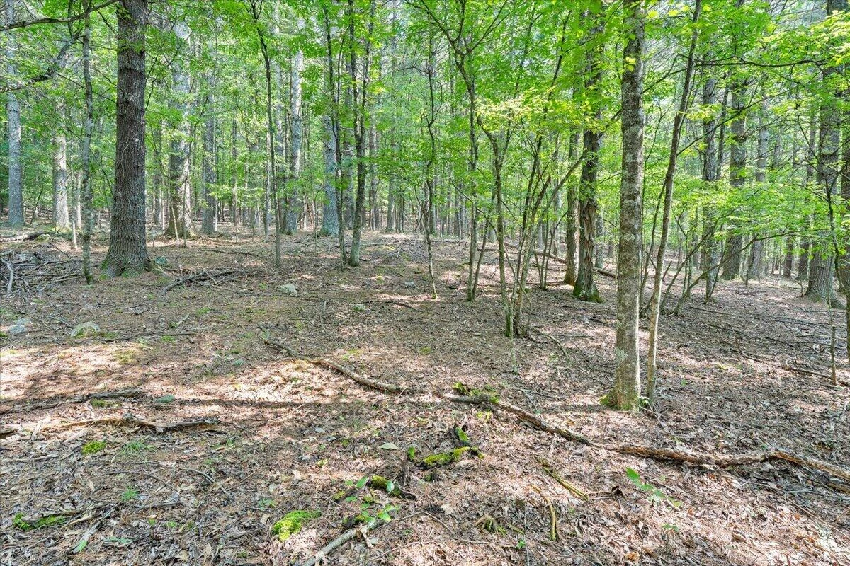 000 N Paint Bank RD - Photo 20