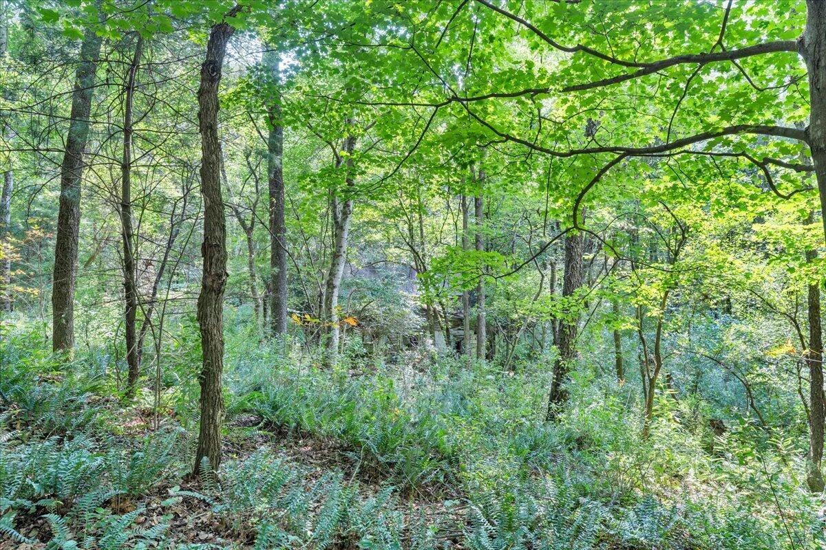 000 N Paint Bank RD - Photo 21