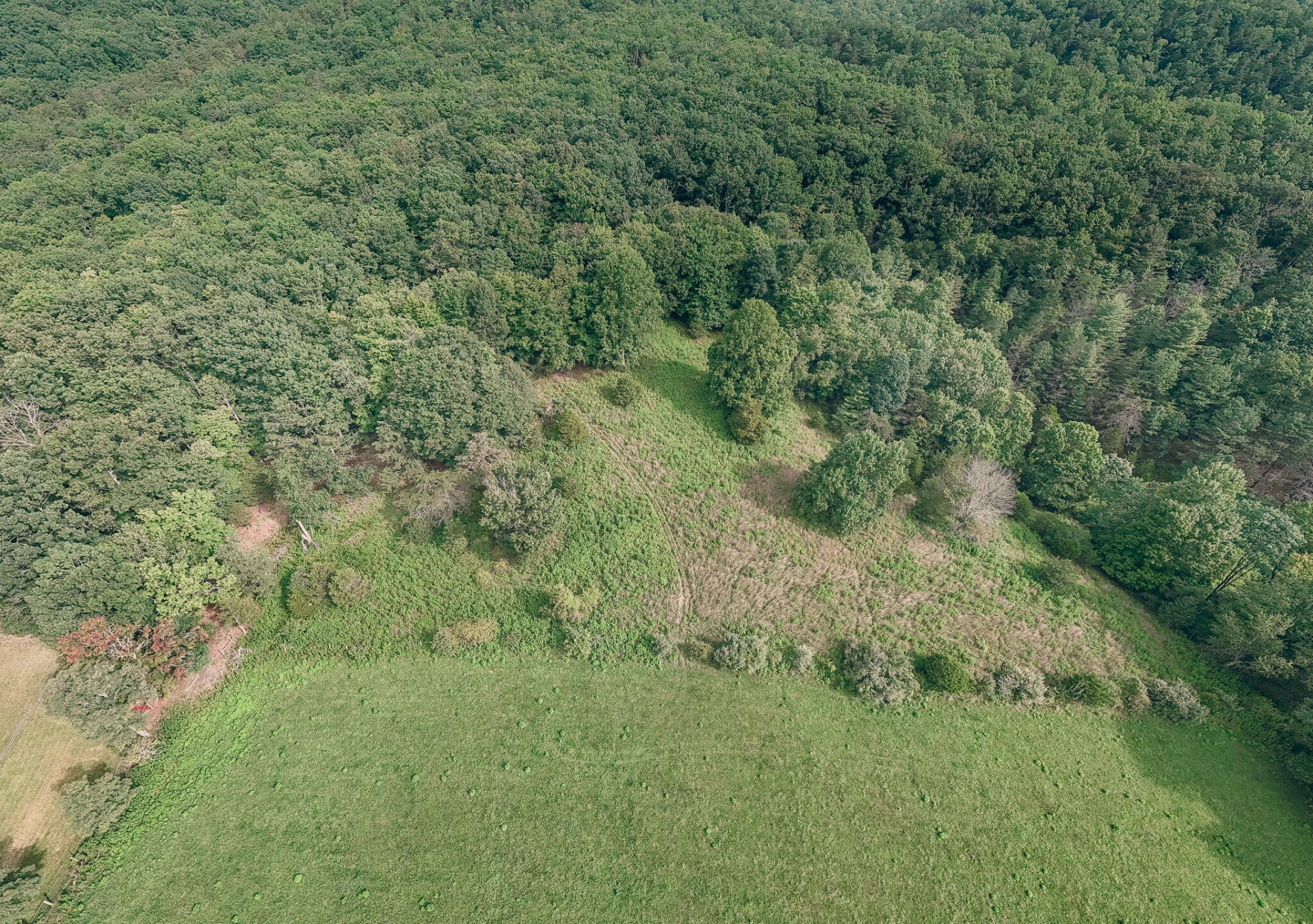 0 Mount Tabor RD - Photo 4