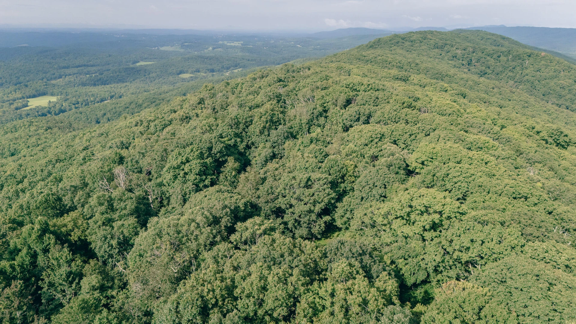0 Mount Tabor RD - Photo 9