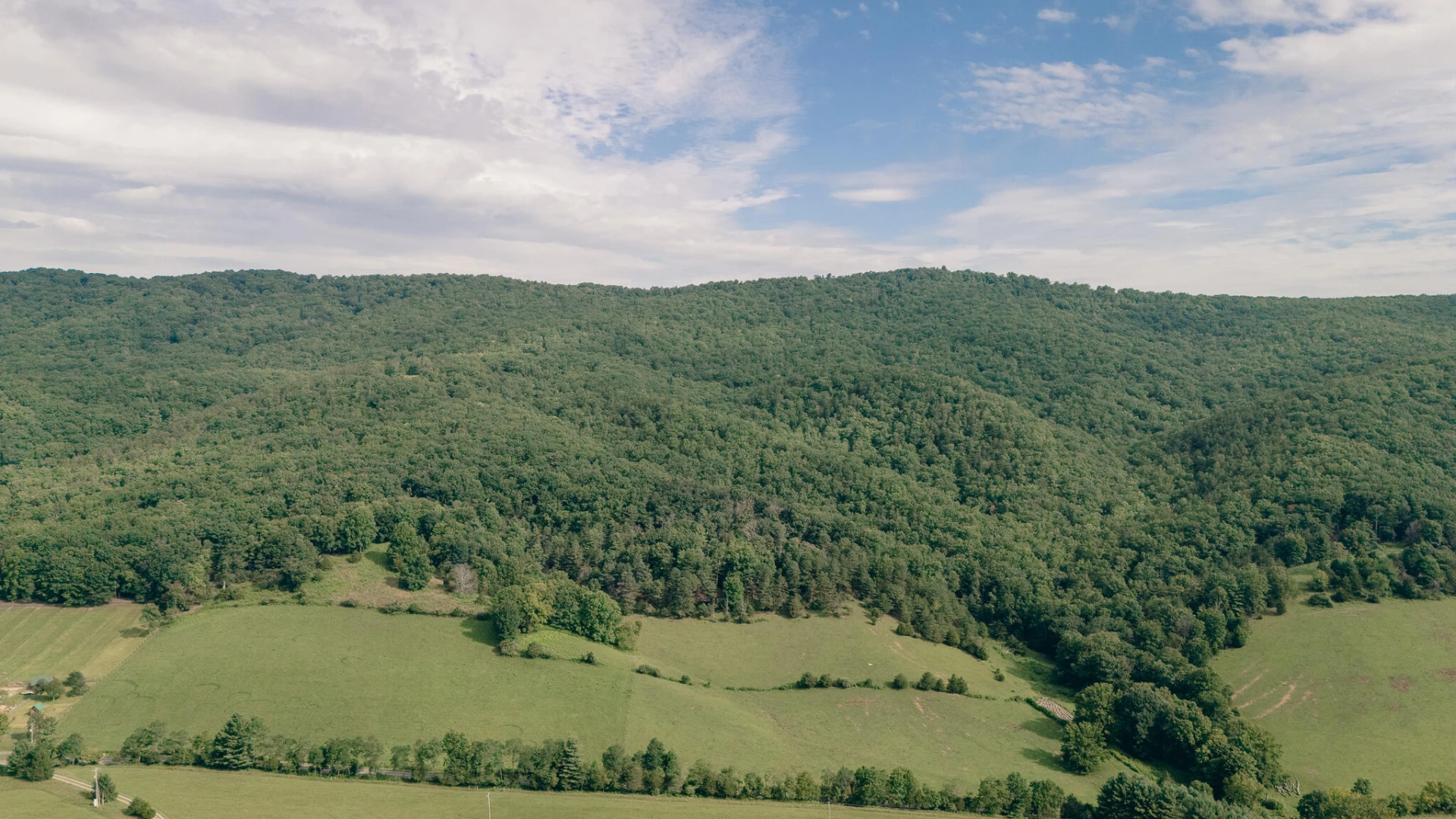 0 Mount Tabor RD - Photo 12