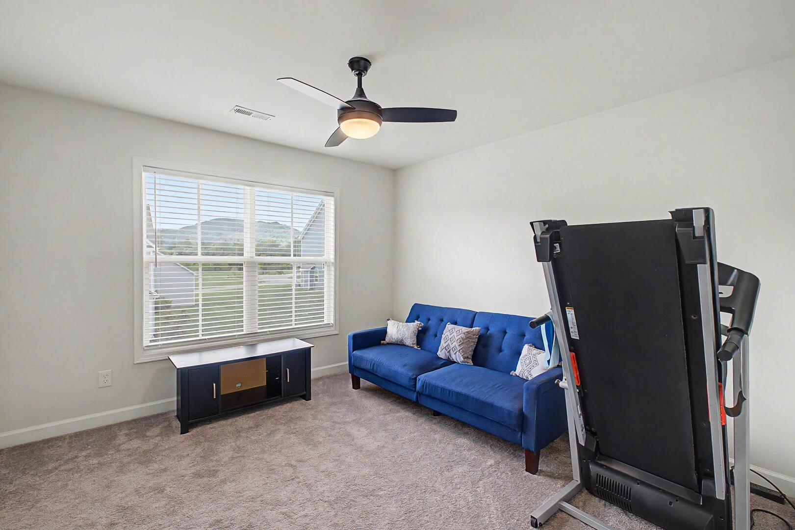 234 River Birch AVE - Photo 47