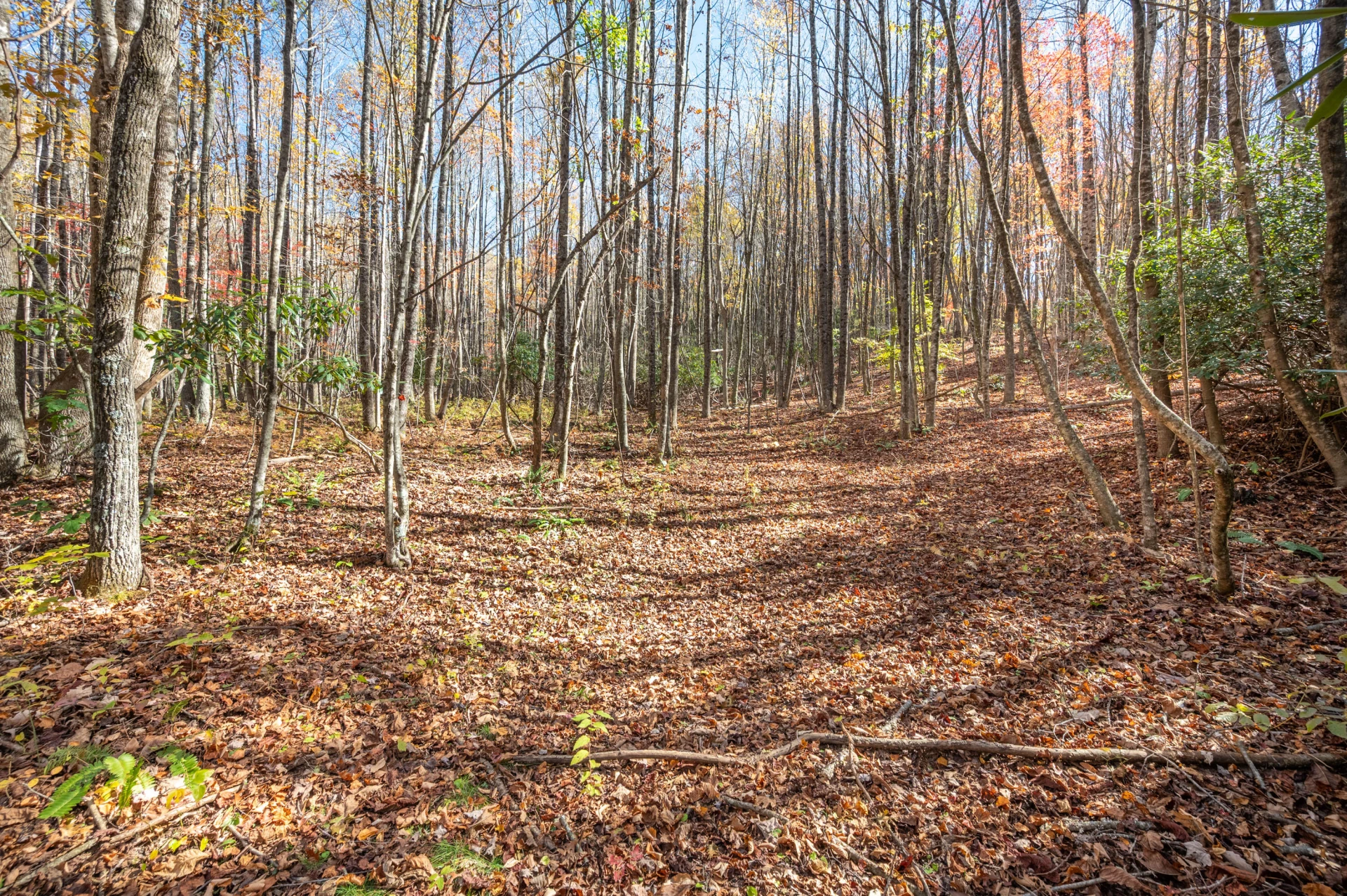 857 Phadettia RD SW - Photo 4