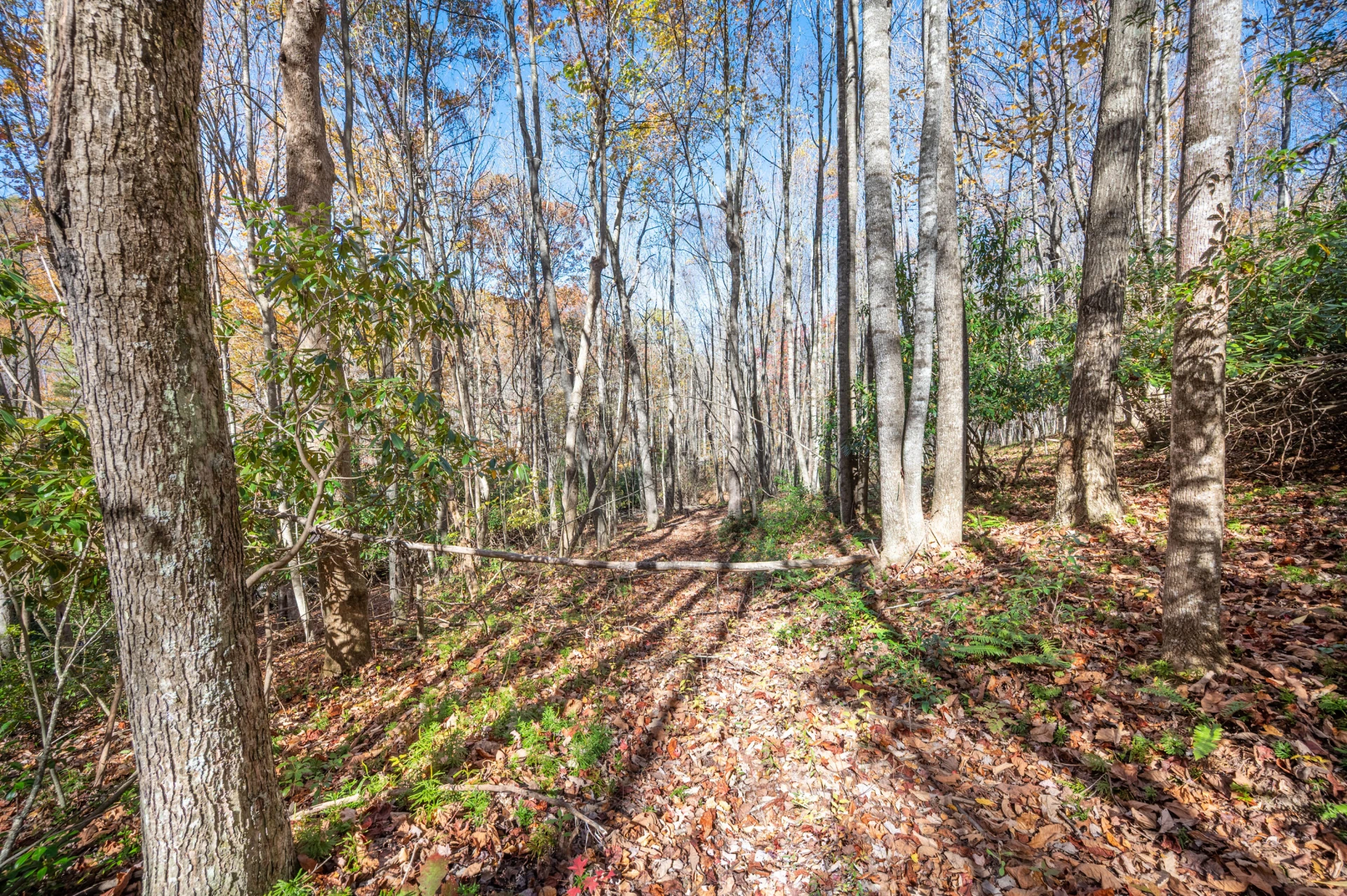 857 Phadettia RD SW - Photo 7