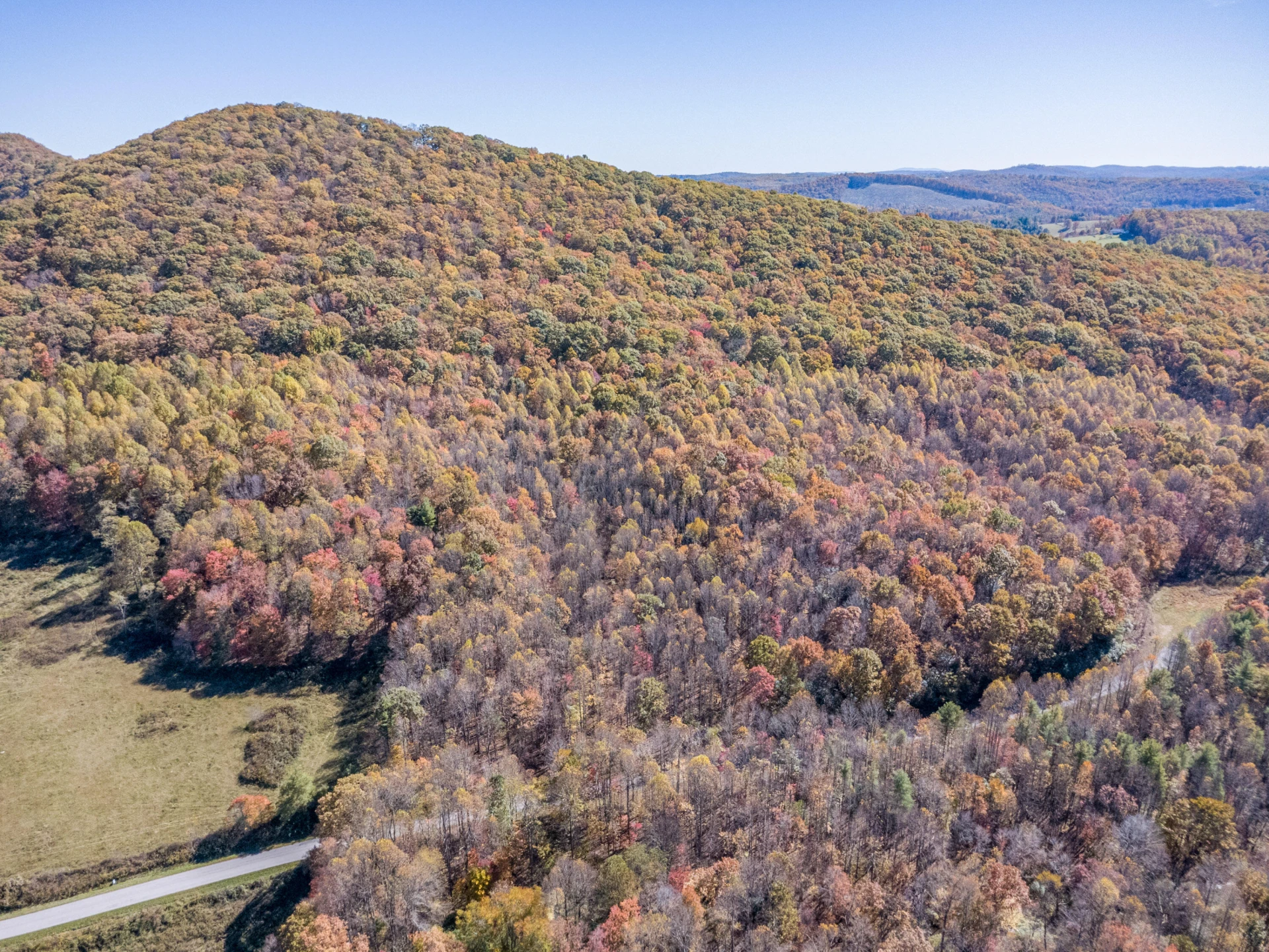 897 Phadettia RD - Photo 4