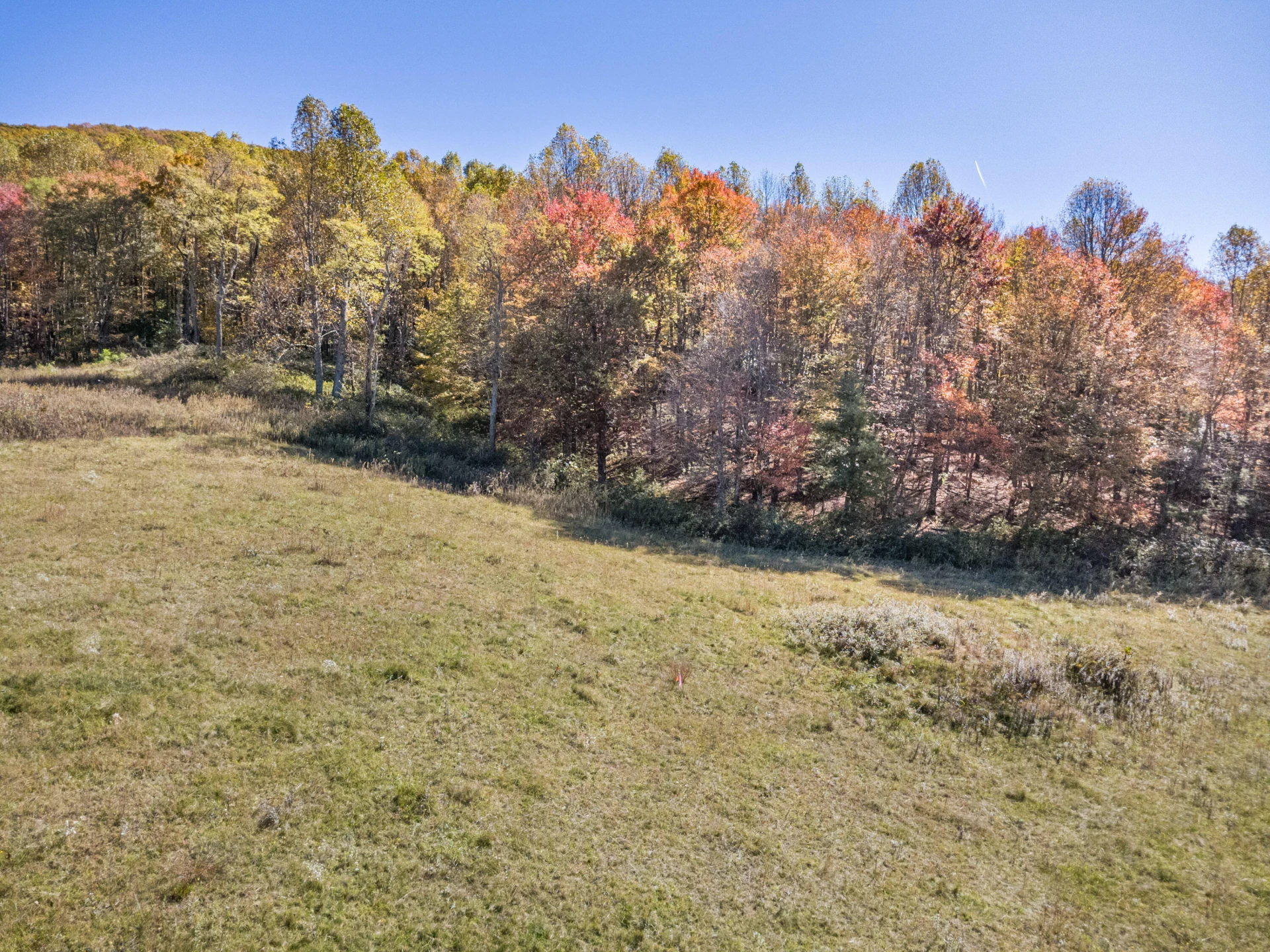 897 Phadettia RD - Photo 7