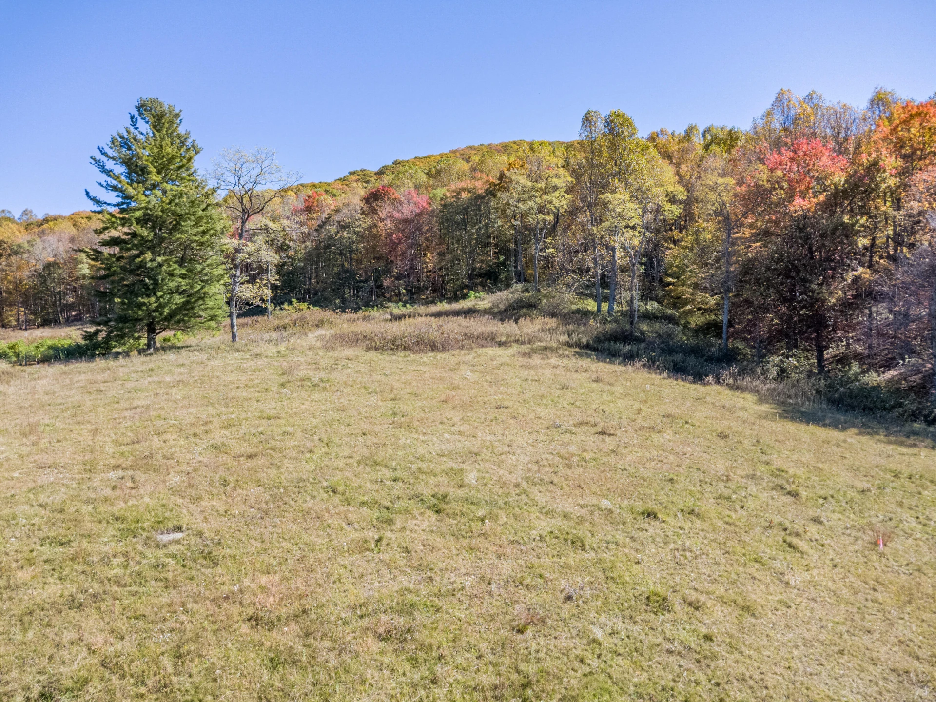 897 Phadettia RD - Photo 8