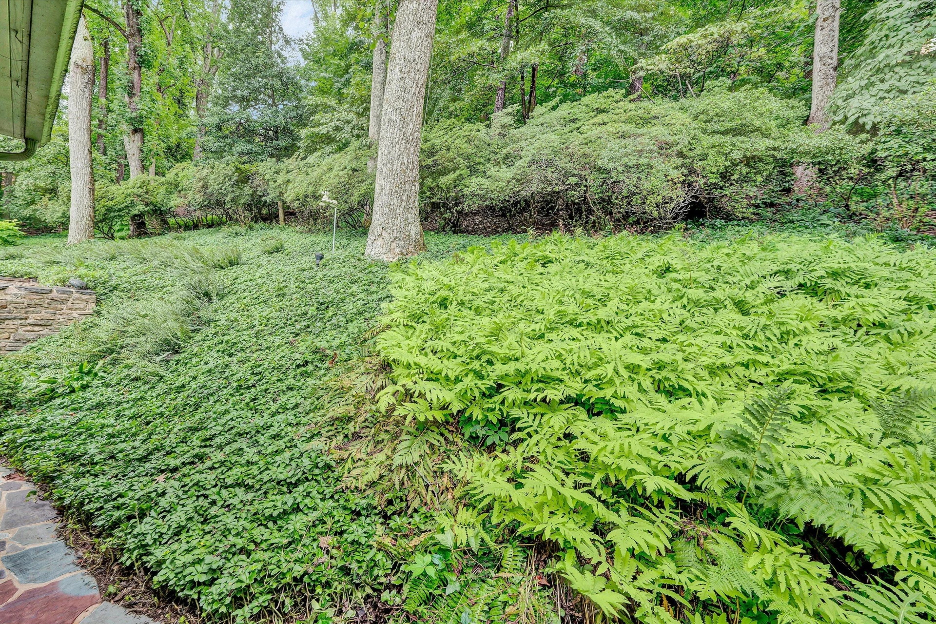 3203 Peakwood DR SW - Photo 50