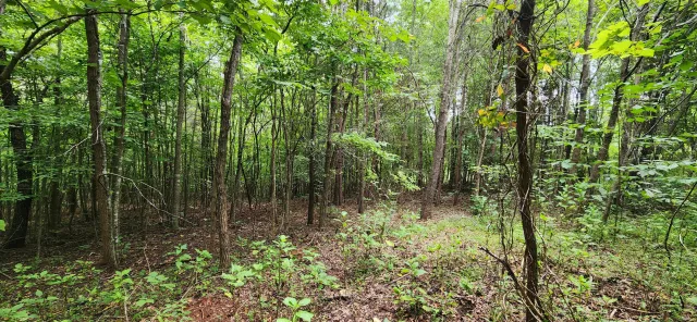 LOT 6 Brooks Mill RD, Glade Hill, VA, 24092