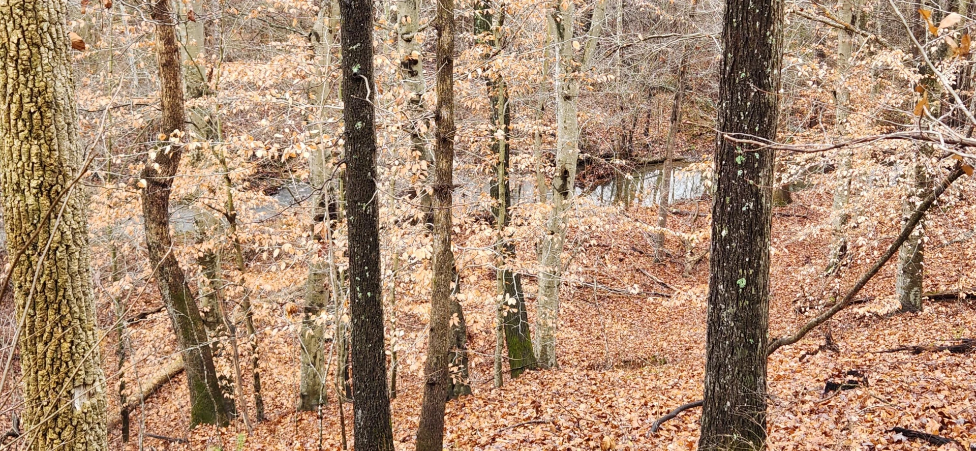 LOT 6 Brooks Mill RD - Photo 5