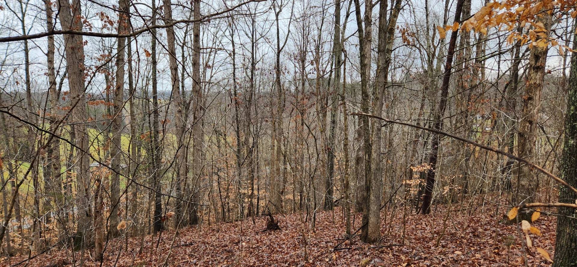 LOT 6 Brooks Mill RD - Photo 7