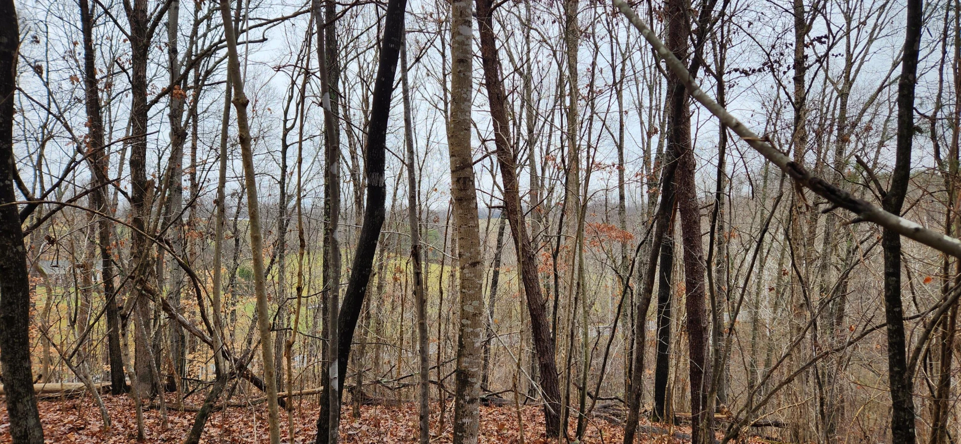LOT 6 Brooks Mill RD - Photo 8