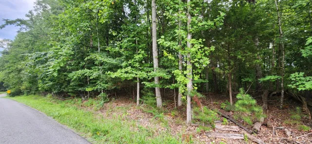LOT 1 Truman Hill RD, Hardy, VA, 24101