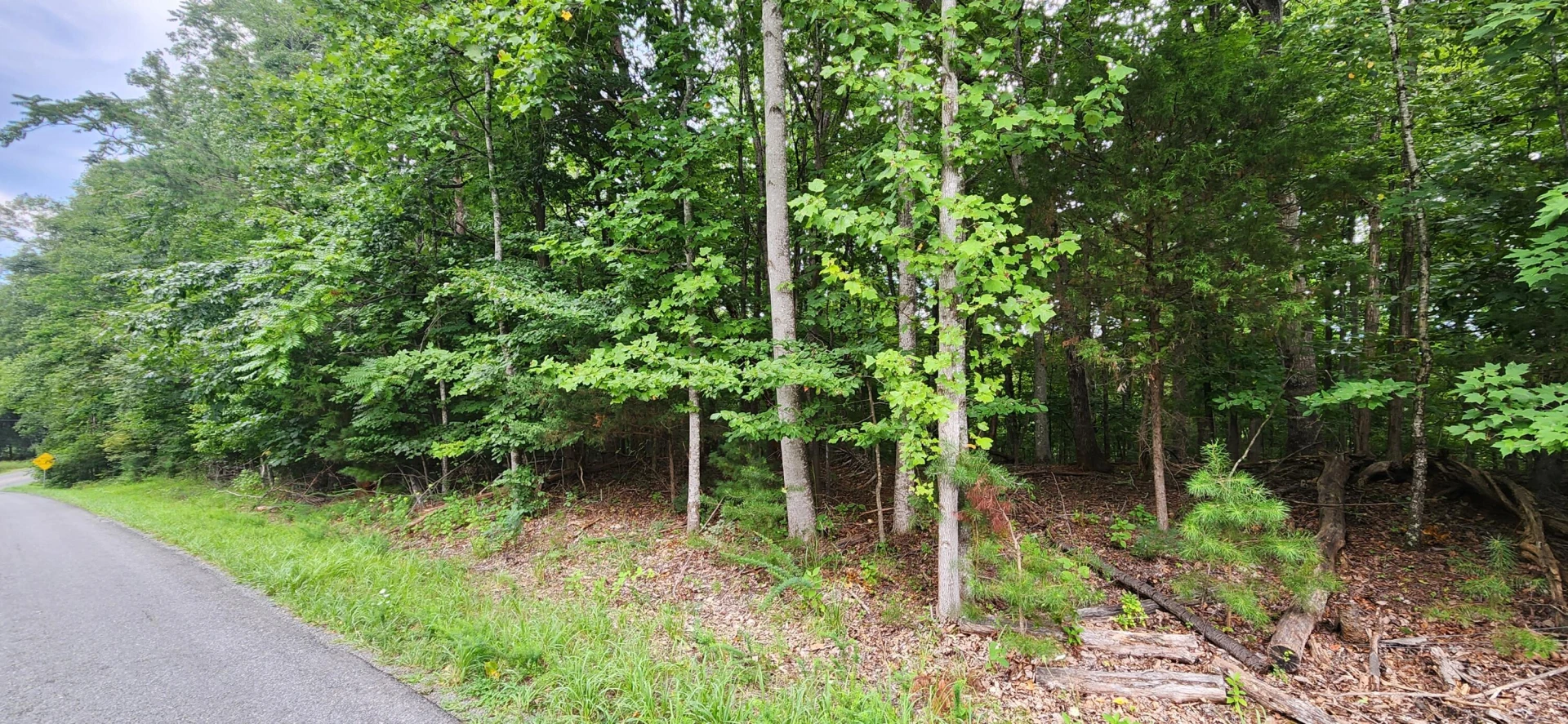 LOT 1 Truman Hill RD