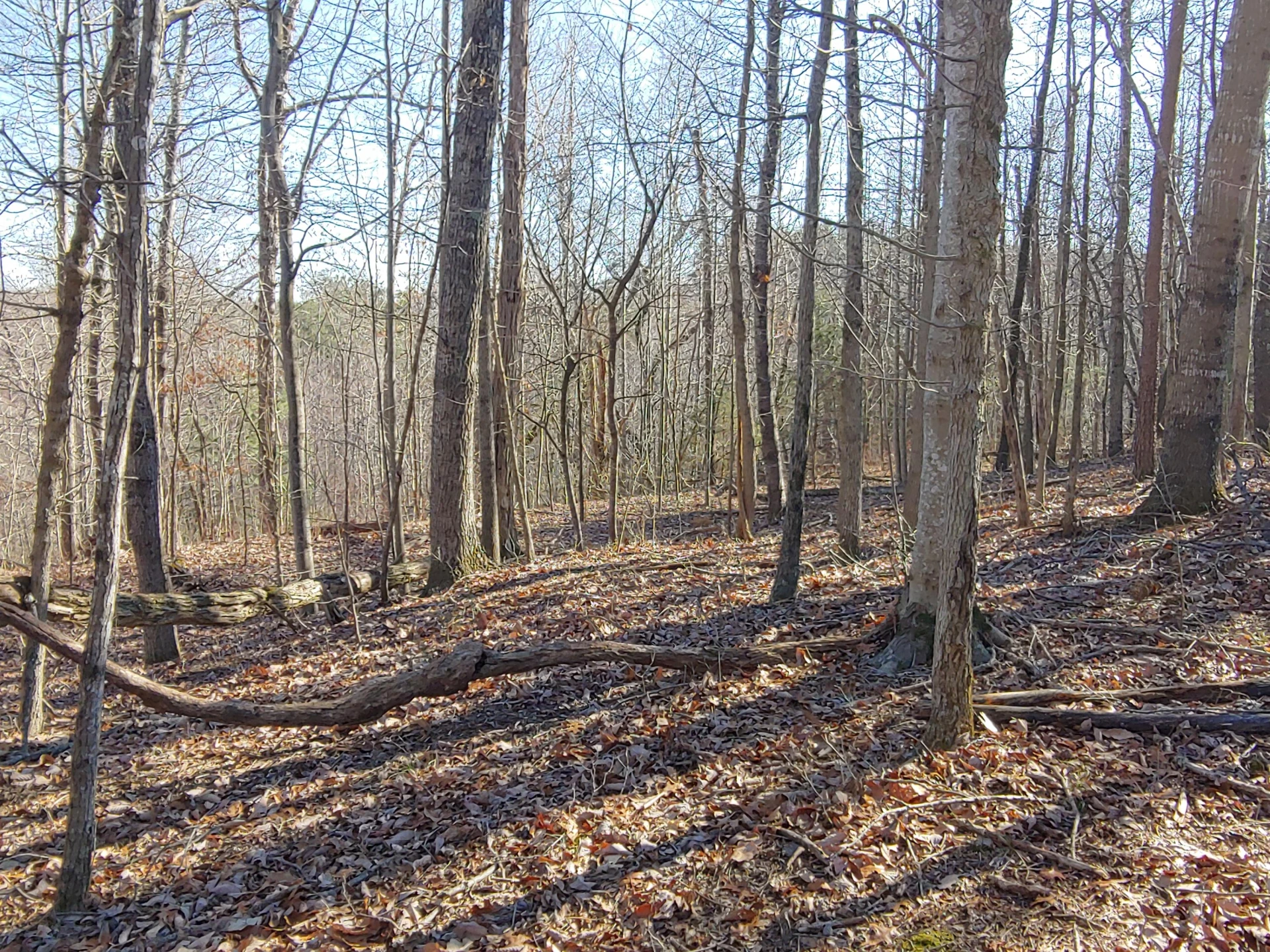 LOT 1 Truman Hill RD - Photo 5