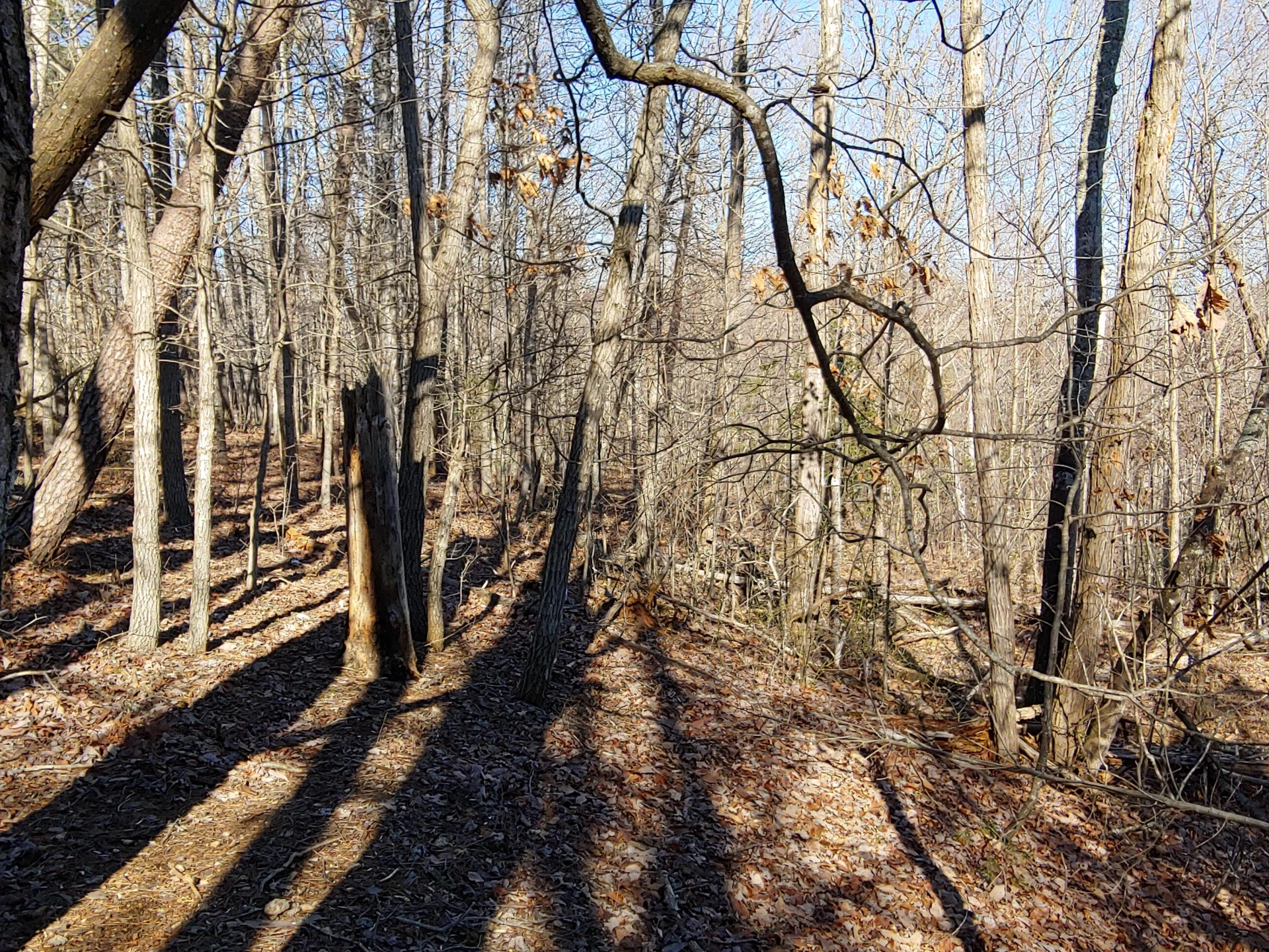 LOT 1 Truman Hill RD - Photo 6
