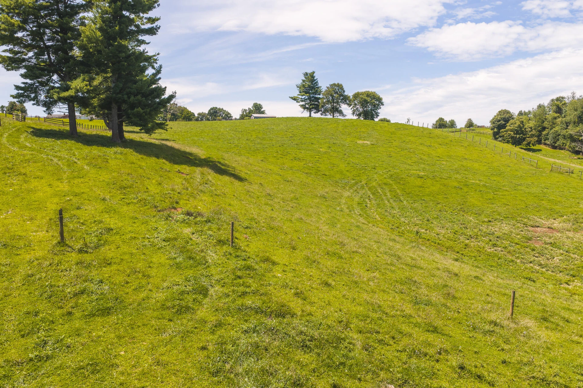 Lot 2 Long Level RD - Photo 7