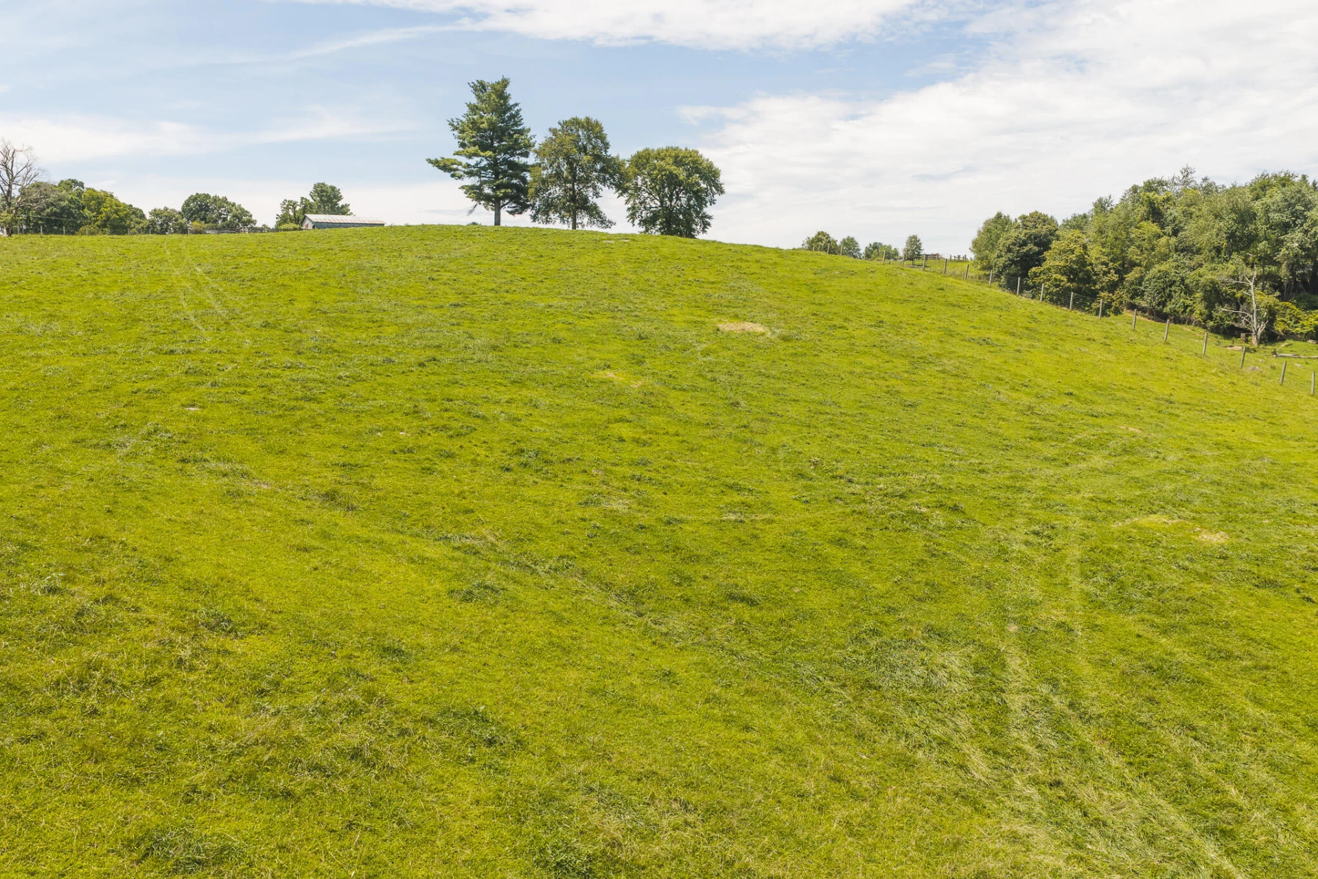 Lot 2 Long Level RD - Photo 8