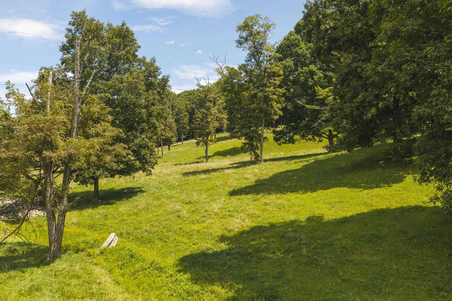 Lot 3 Long Level RD - Photo 10