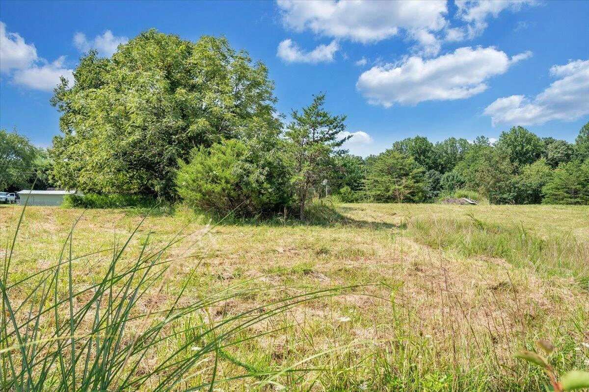 8433 Holly Tree DR - Photo 11