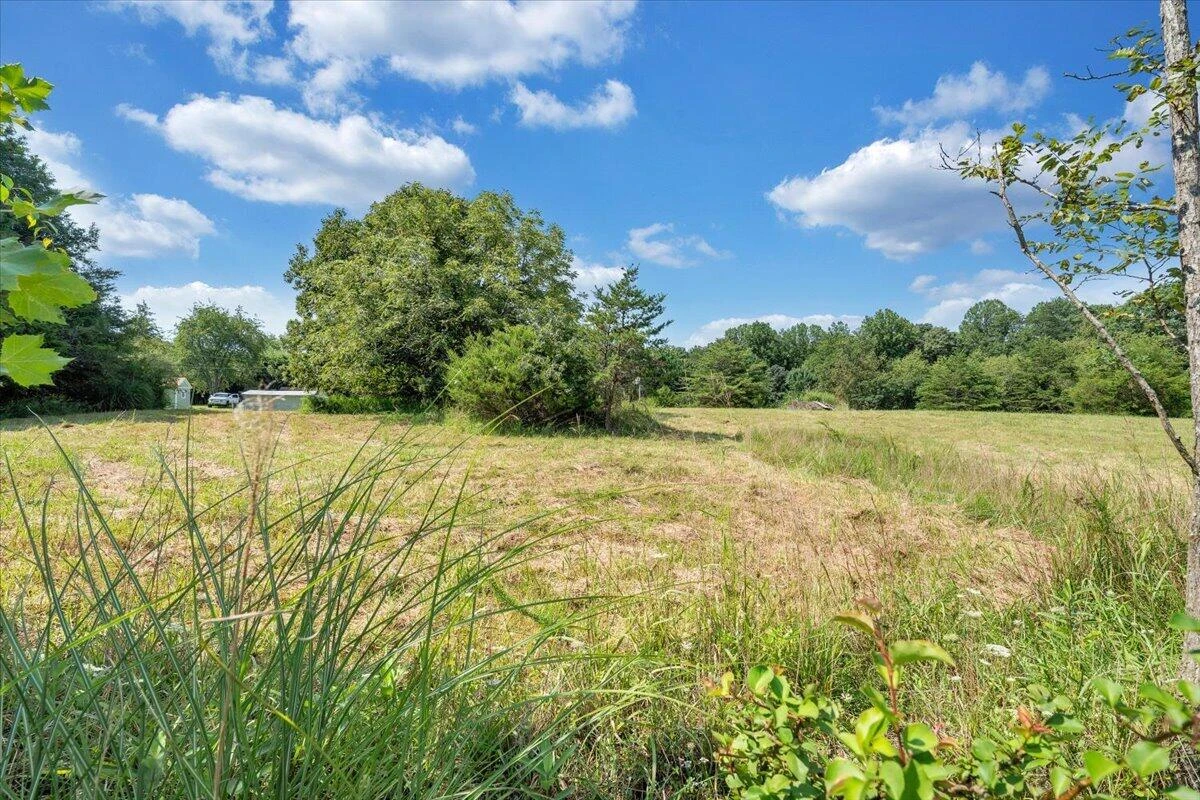 8433 Holly Tree DR - Photo 12