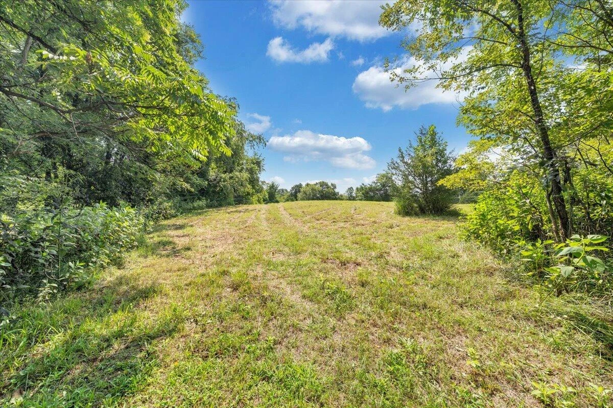8433 Holly Tree DR - Photo 13