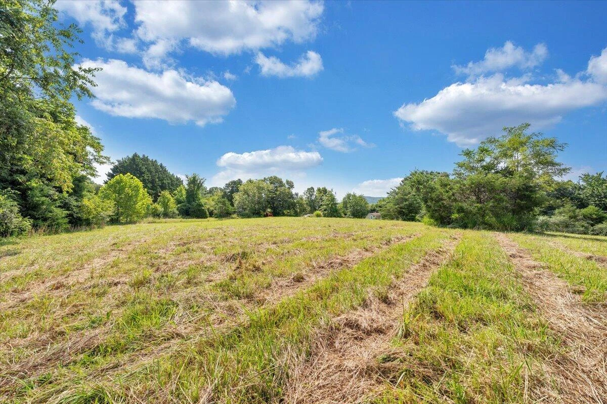 8433 Holly Tree DR - Photo 14
