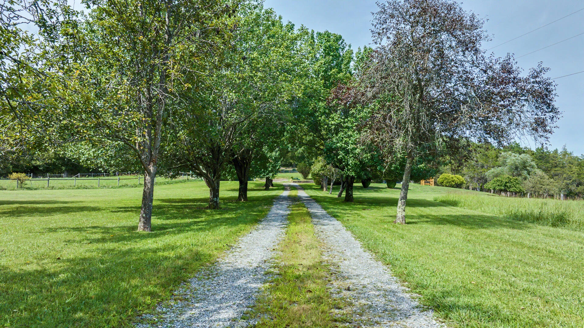 5741 Hall RD - Photo 6