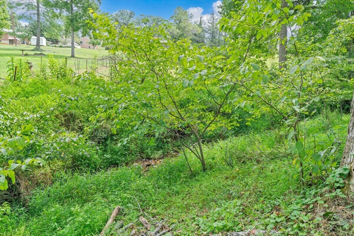 1226 Rendezvous LN - Photo 43
