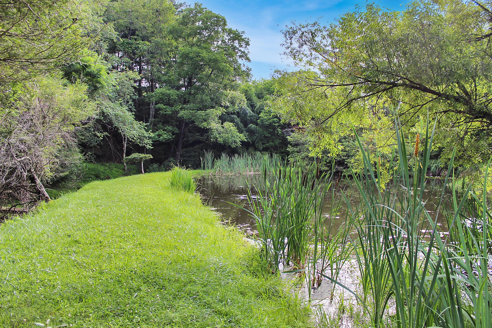 289 Huckleberry Ridge RD NE - Photo 22