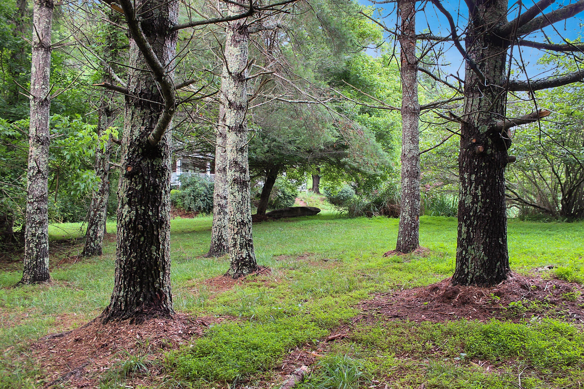 289 Huckleberry Ridge RD NE - Photo 25