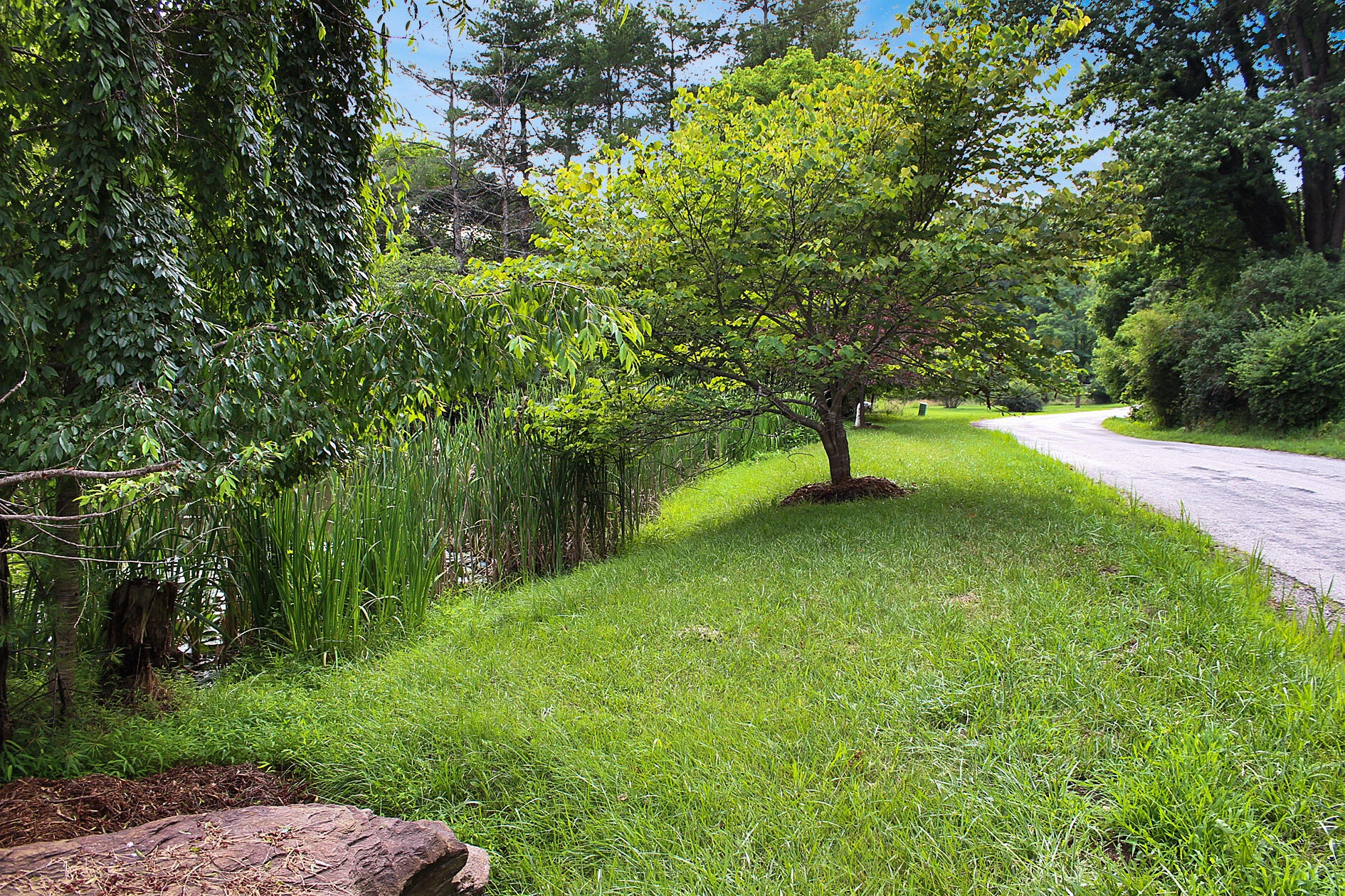 289 Huckleberry Ridge RD NE - Photo 29