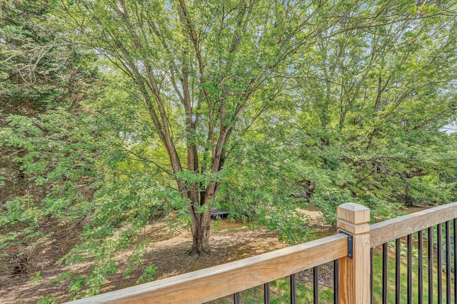 174 Pheasant Run - Photo 40