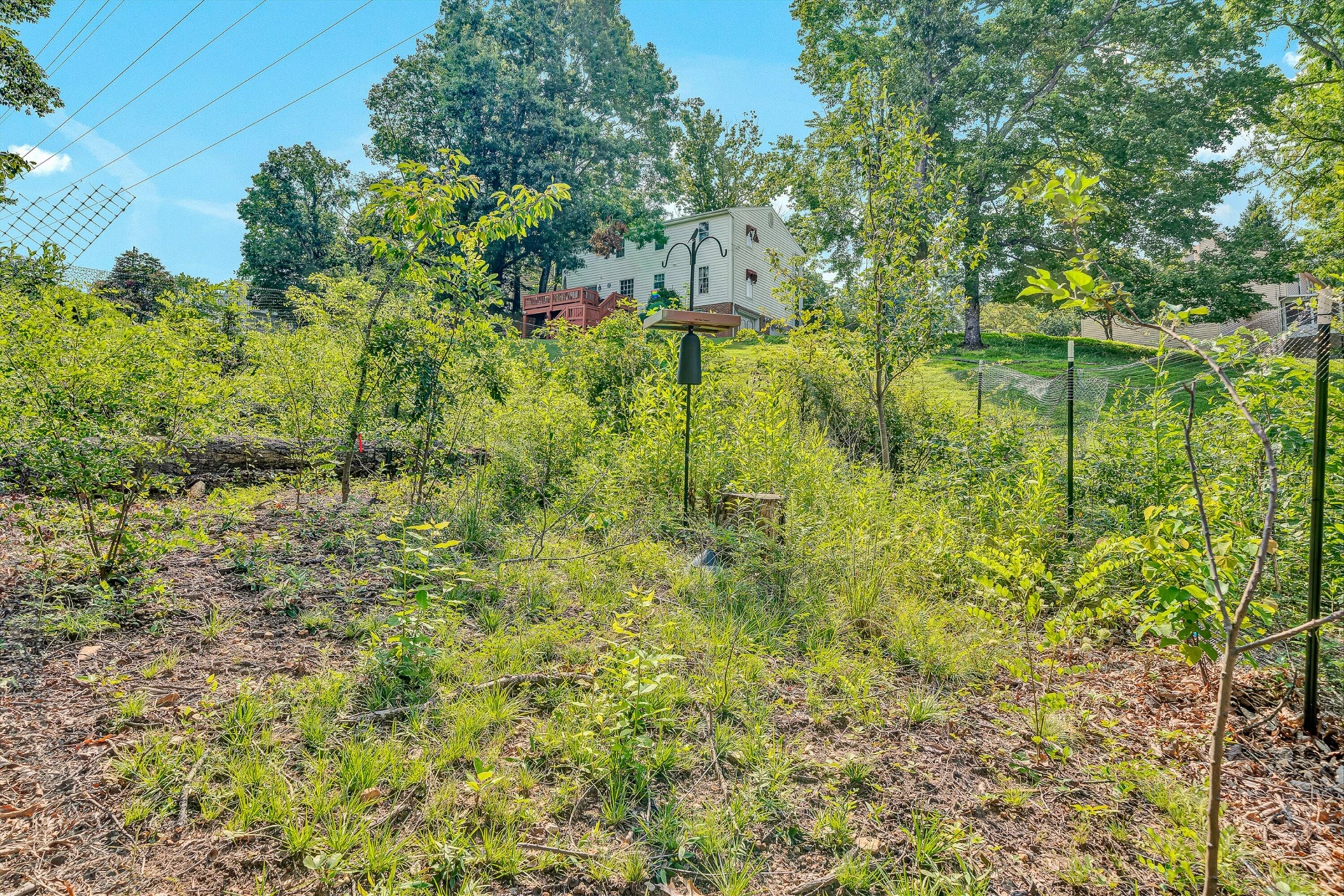 6015 Marsh Wren LN - Photo 43