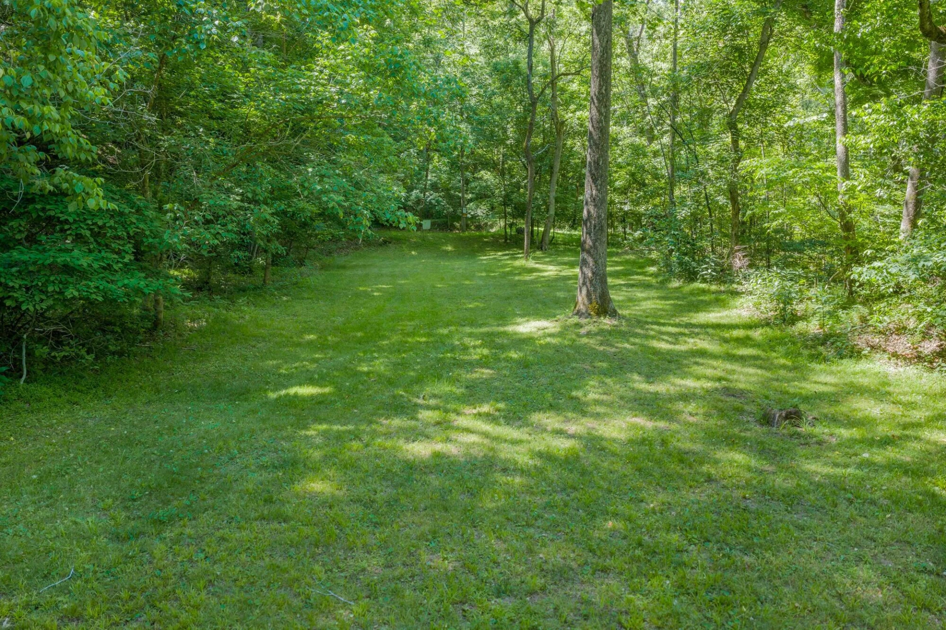 53 & 13 Siding LN - Photo 46