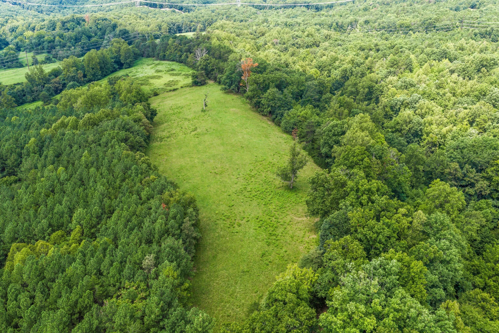 2704 Mountain Pass RD - Photo 58