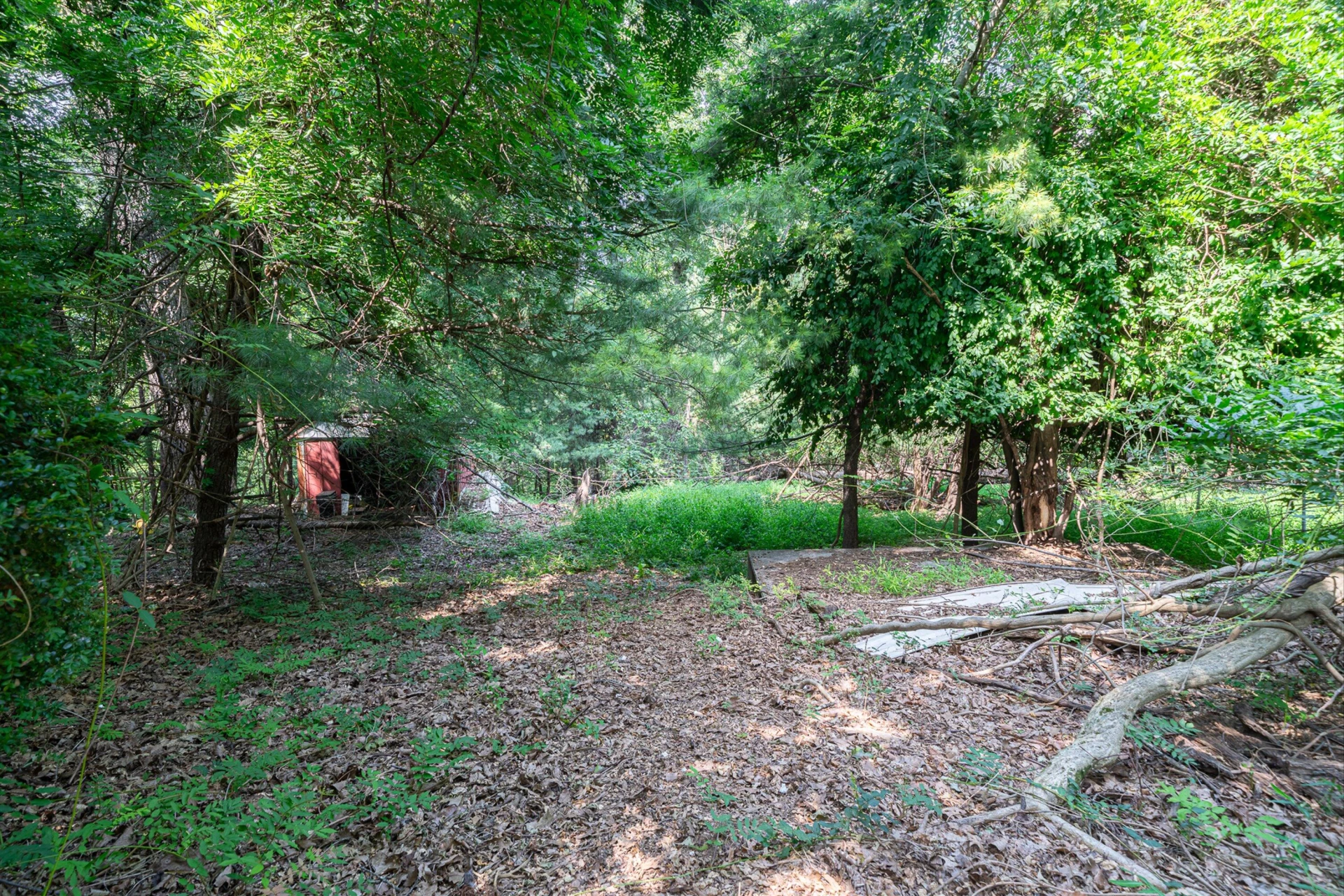 3782 Verona TRL - Photo 36