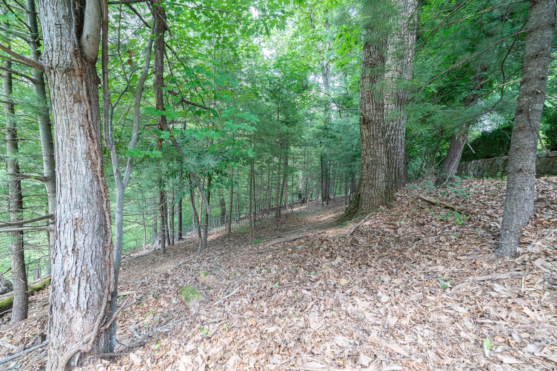 3782 Verona TRL - Photo 37