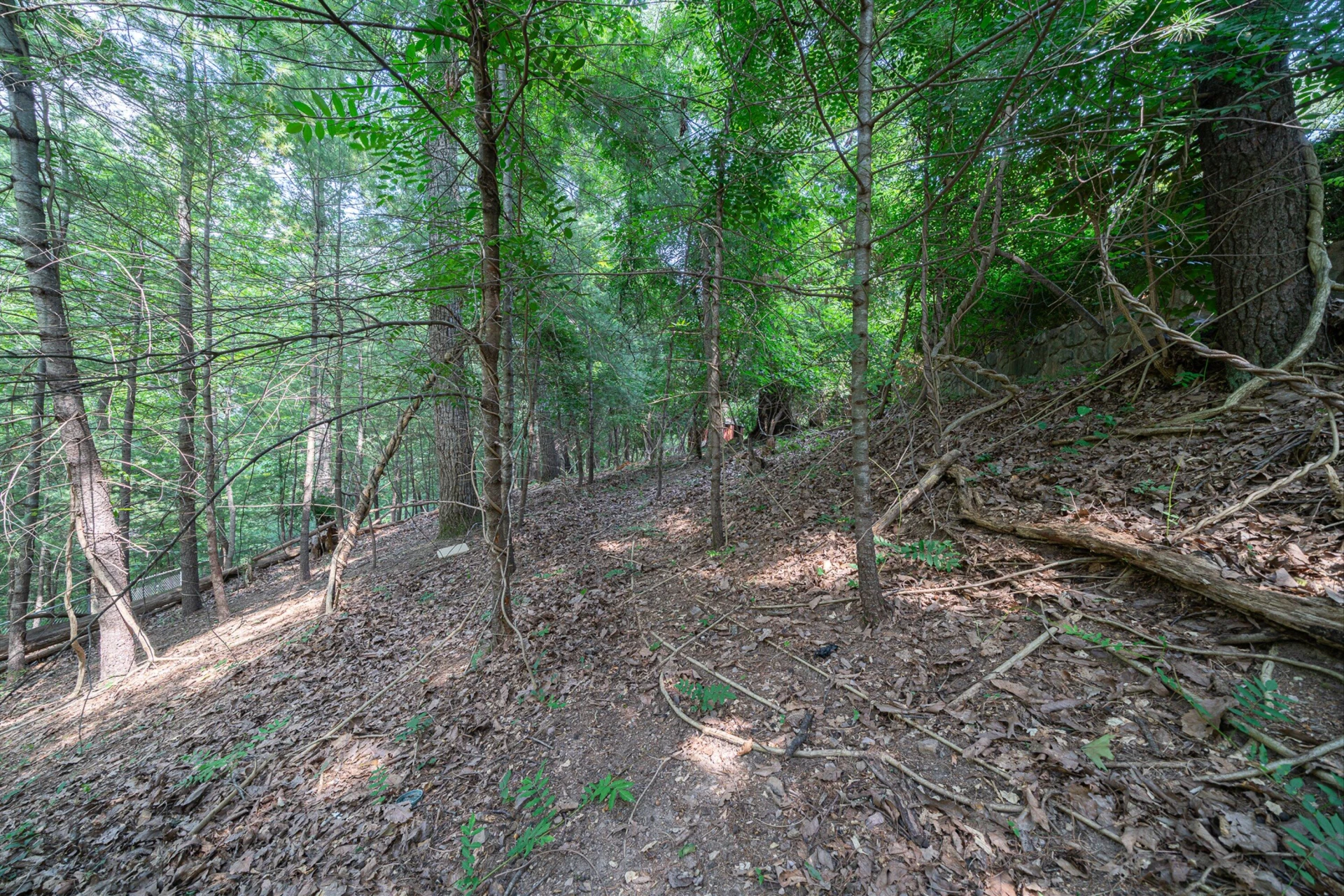 3782 Verona TRL - Photo 38
