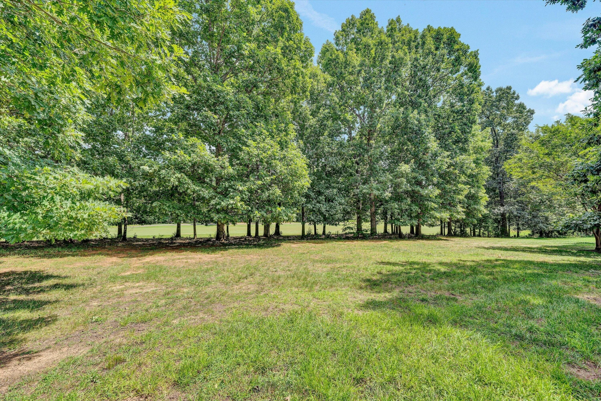 1103 Joffrey DR - Photo 4
