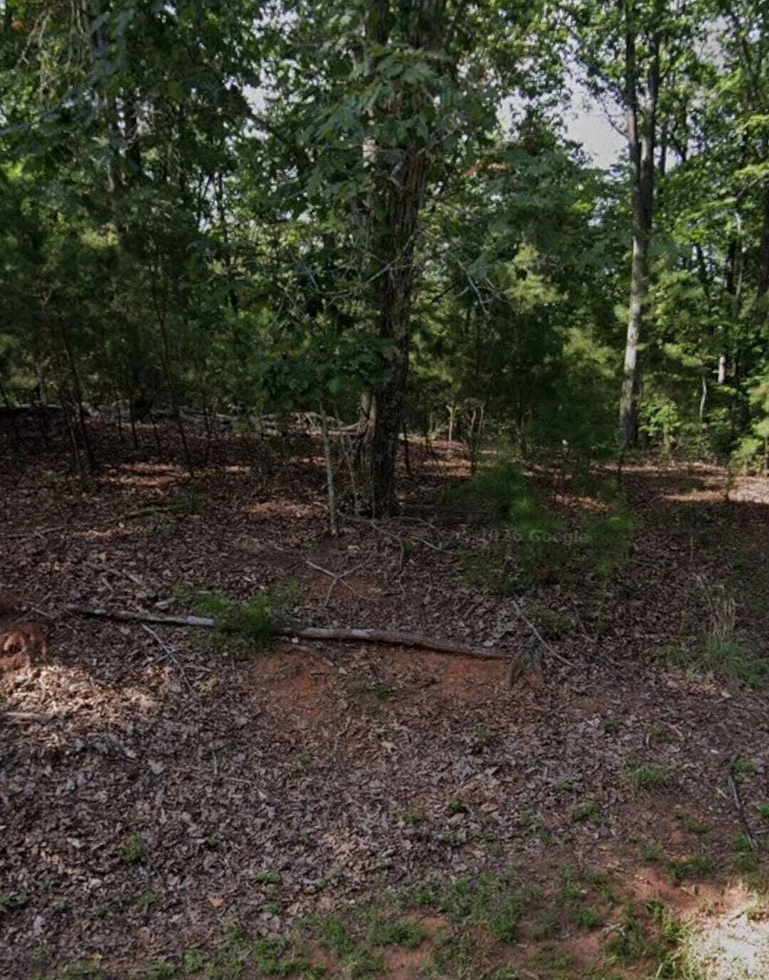 11 Summer House DR