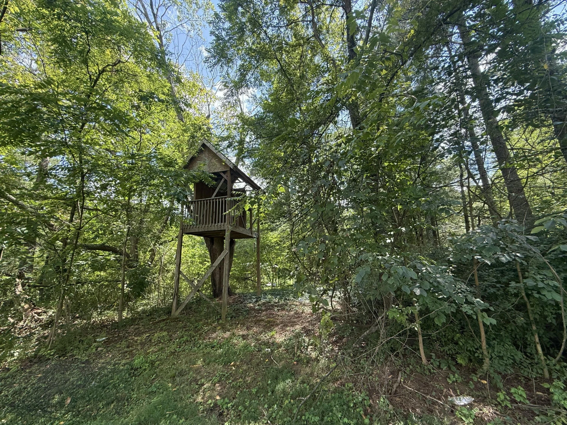 3536 Bradshaw RD - Photo 22