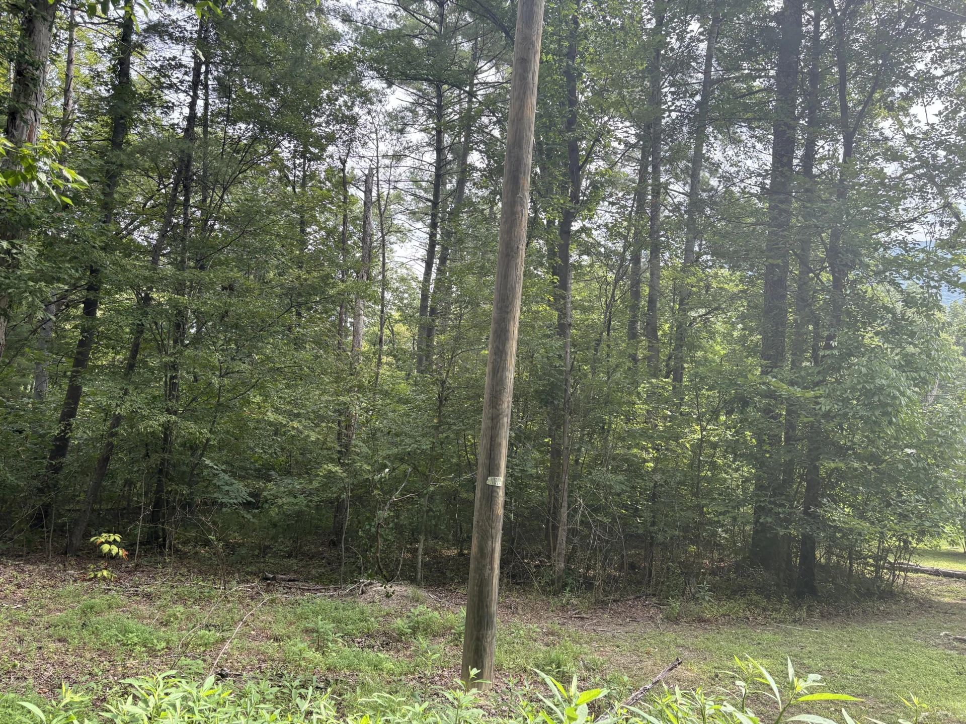 123 N River Rd.