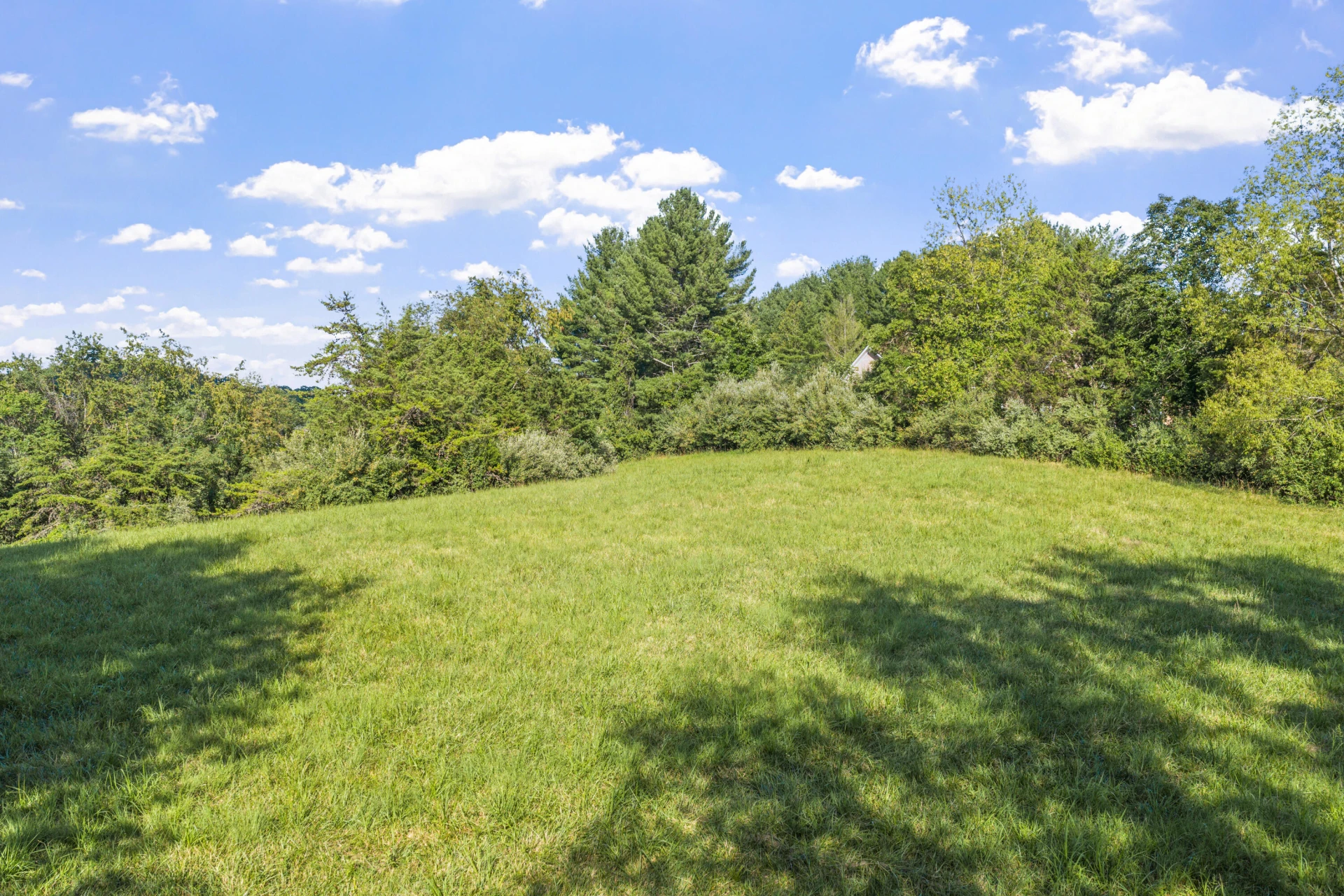 537 Blue Ridge Tpk - Photo 11