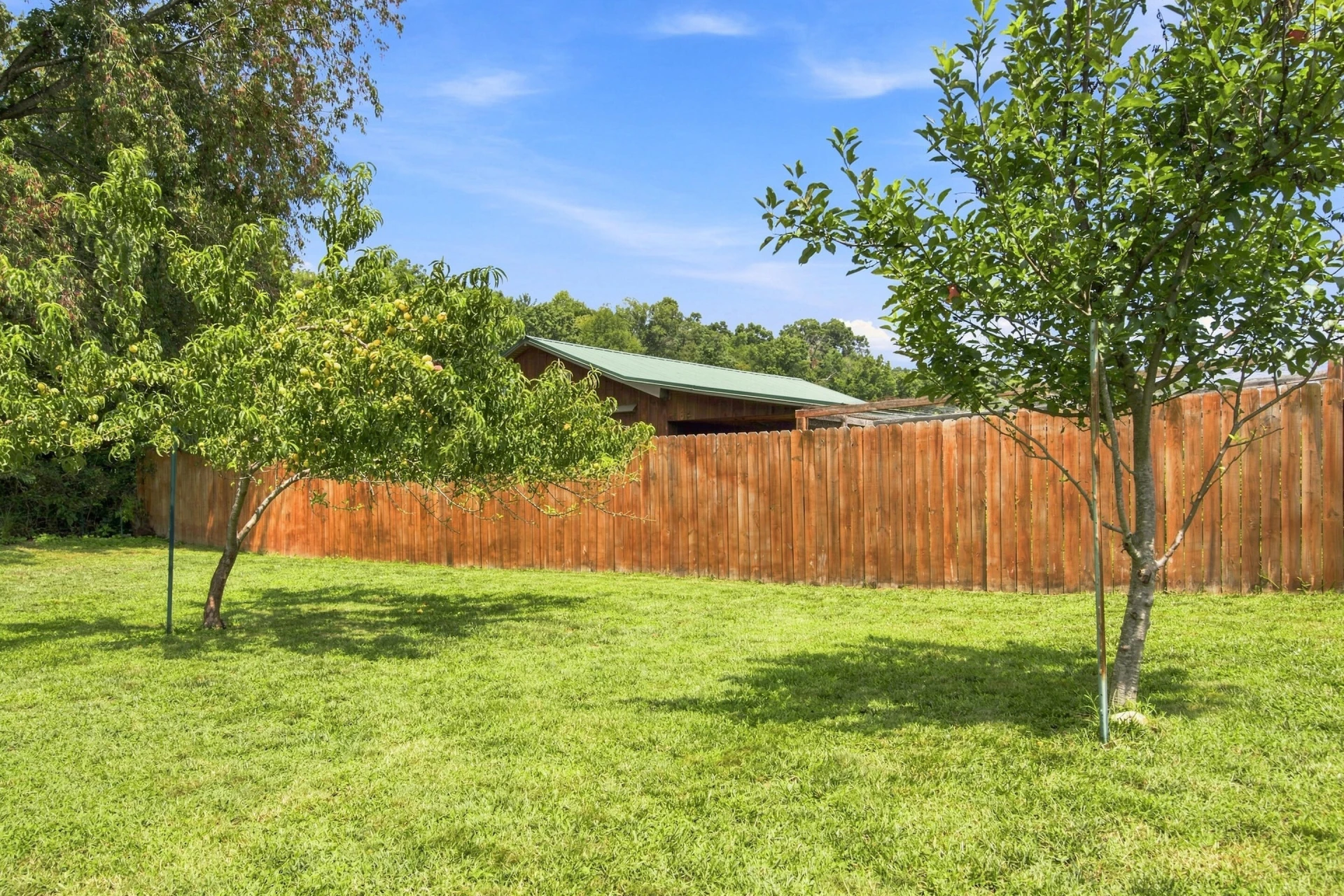 6219 Joyce LN - Photo 62